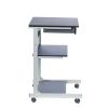 Techni Mobili Rolling Laptop Cart with Storage; Graphite
