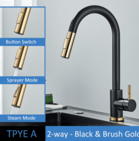 304 Stainless Steel Kitchen Pull-out Faucet (Option: Black Brush Gold-TPYE A)